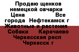 Продаю щенков немецкой овчарки › Цена ­ 5000-6000 - Все города, Нефтекамск г. Животные и растения » Собаки   . Карачаево-Черкесская респ.,Черкесск г.
